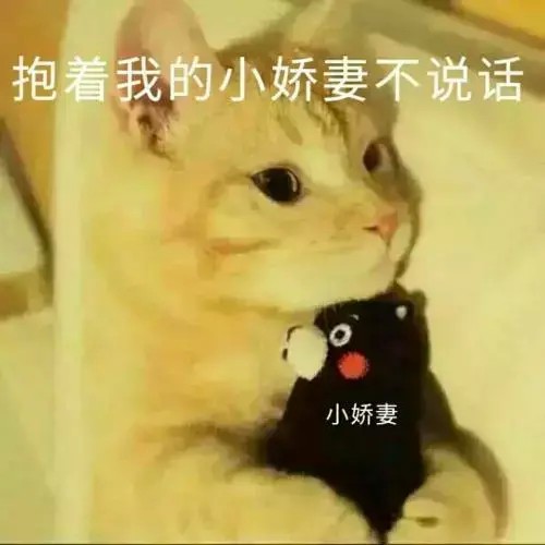 猫咪在叹气是感到无奈么