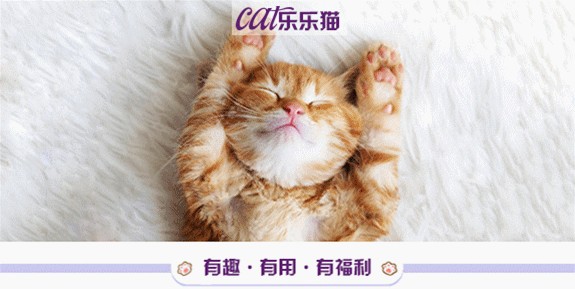 掉下的猫毛不要扔，把它团成球，隔壁小猫都馋哭了