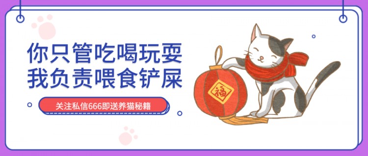 撞脸孙红雷，“丑萌丑萌”的东方短毛猫前来报道